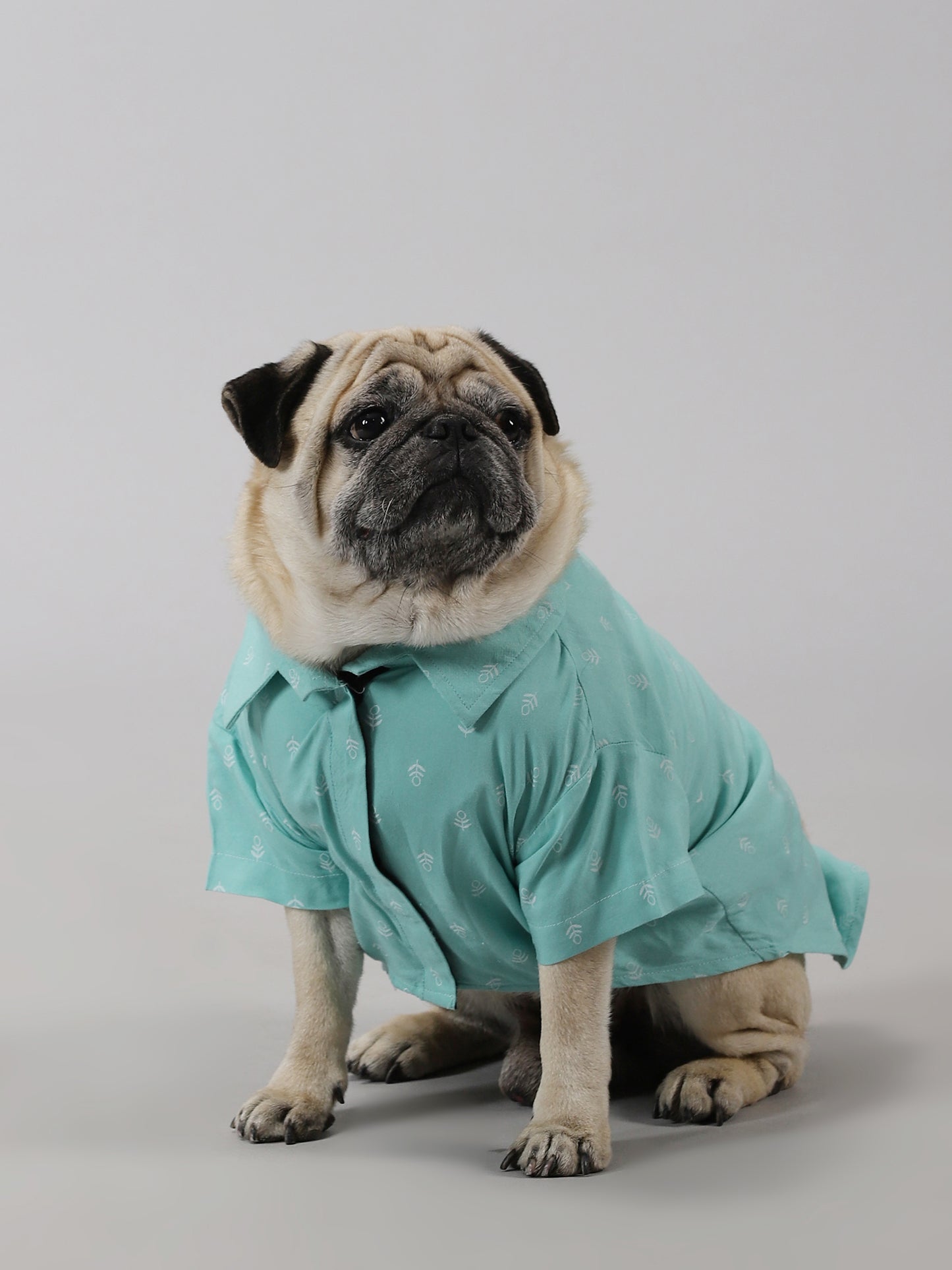 Minty Breeze Dog Shirt