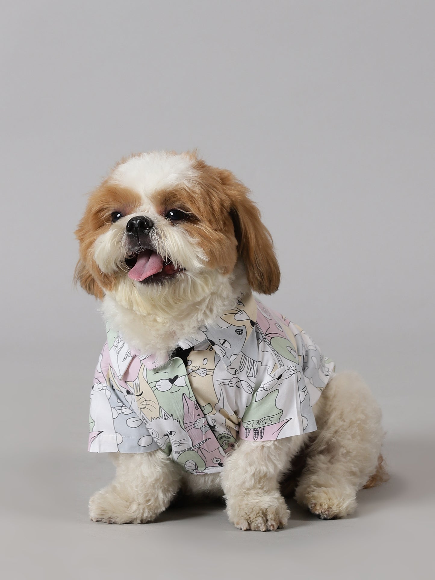 ToonFrenzy Dog Shirt